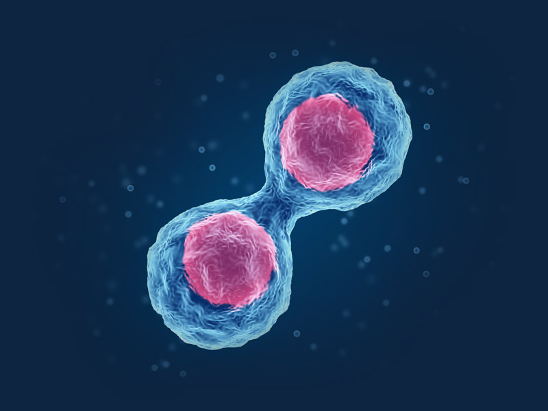 Cellular nutrition vs surface treatments